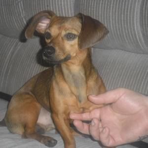 Meet your Posher, Carolyn